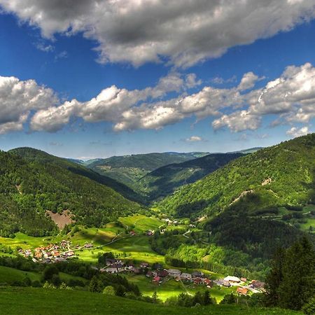 Urlaub Auf 1.000 Meter Hoehe Mit Pool Und Sauna Schoenwald im Schwarzwald Exterior photo
