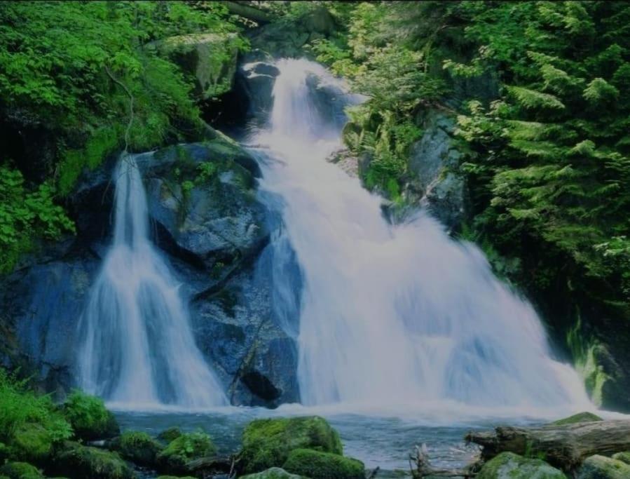 Urlaub Auf 1.000 Meter Hoehe Mit Pool Und Sauna Schoenwald im Schwarzwald Exterior photo