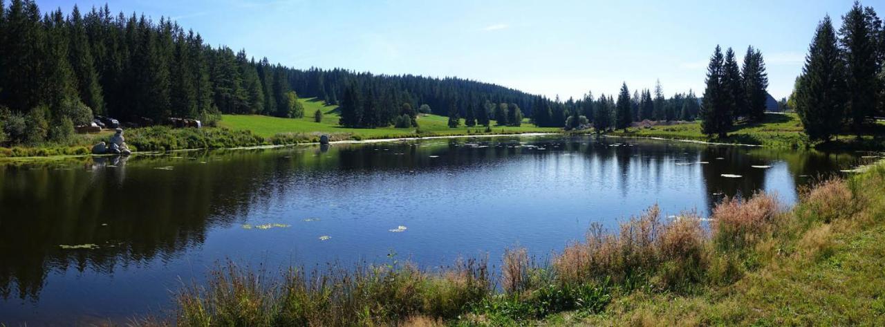 Urlaub Auf 1.000 Meter Hoehe Mit Pool Und Sauna Schoenwald im Schwarzwald Exterior photo