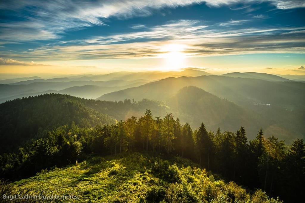 Urlaub Auf 1.000 Meter Hoehe Mit Pool Und Sauna Schoenwald im Schwarzwald Exterior photo